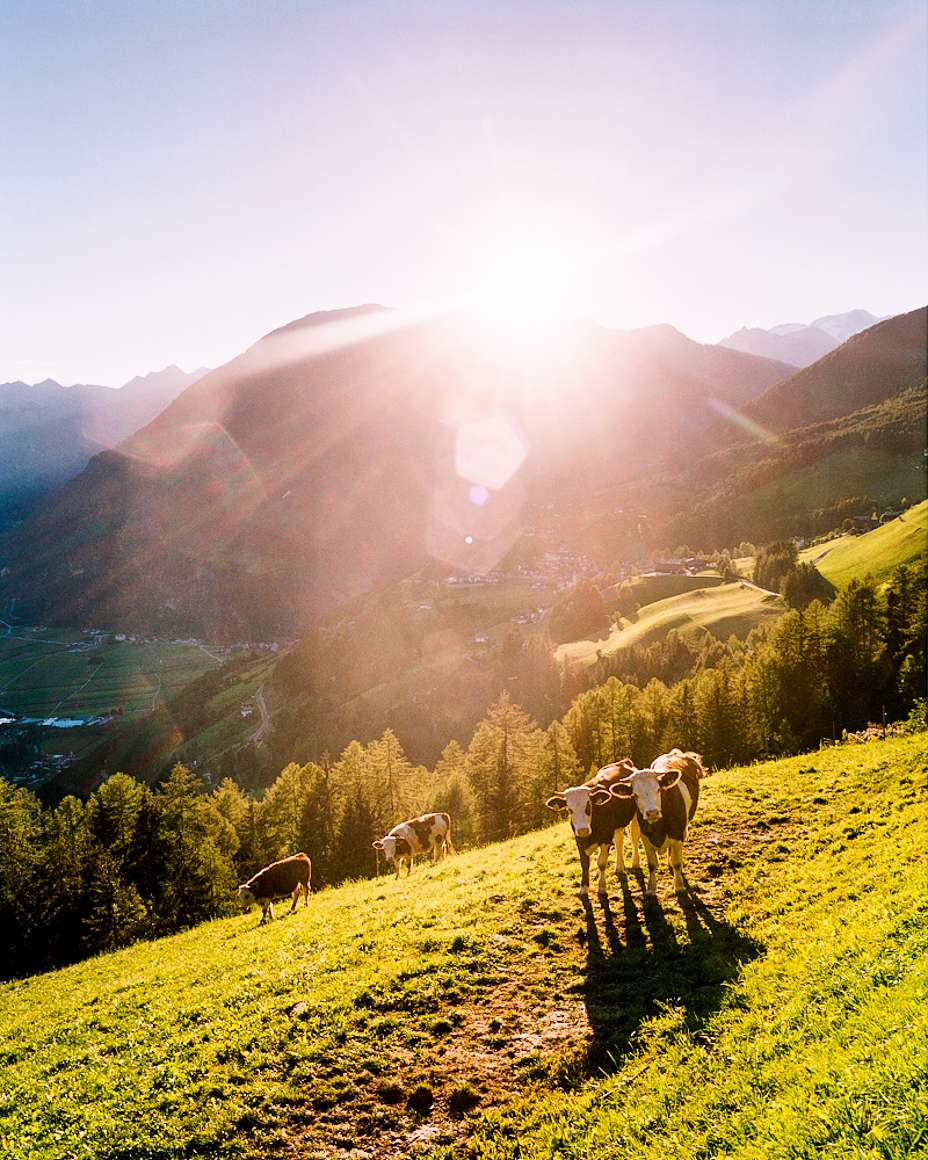 http://www.gregorlengler.com/files/gimgs/th-21_gregor_lengler_suedtirol _13.jpg