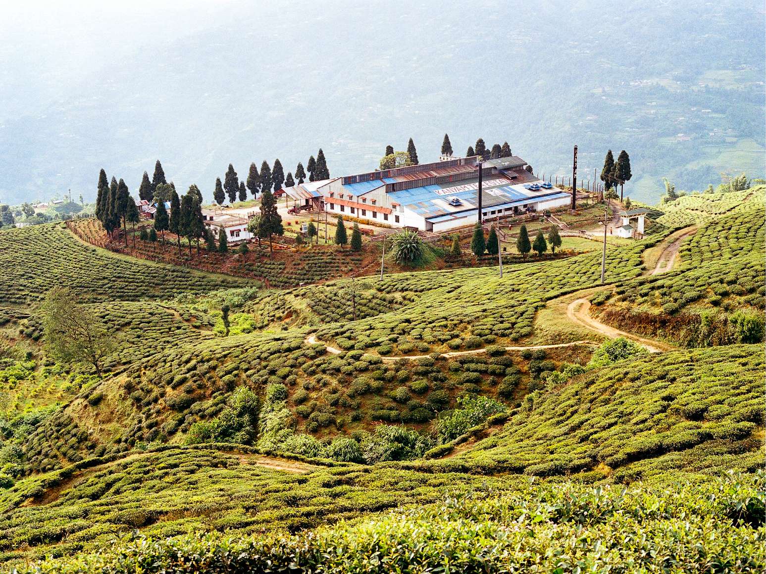 http://www.gregorlengler.com/files/gimgs/th-36_gregor_lengler_nepal_tee_20.jpg